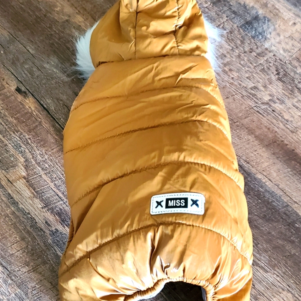Gold Puffer Dog Jacket with Hood